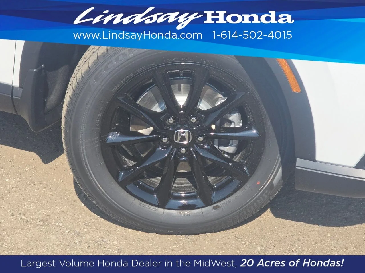 New 2026 Platinum White Pearl Honda Sport image 16