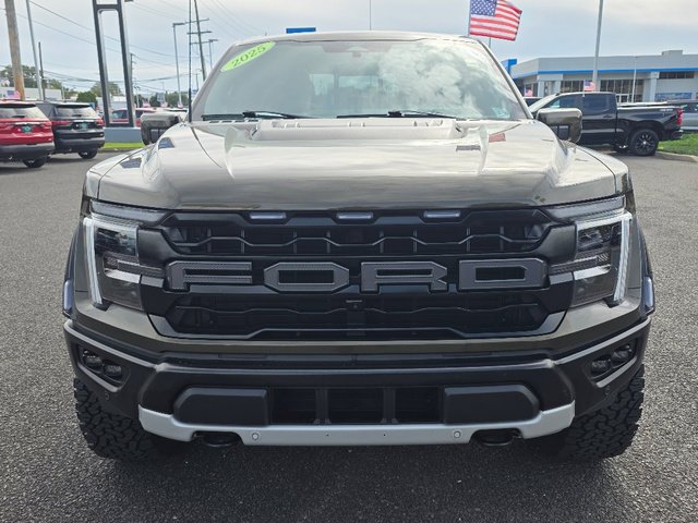 2025 Ford F-150 Raptor - Photo 10