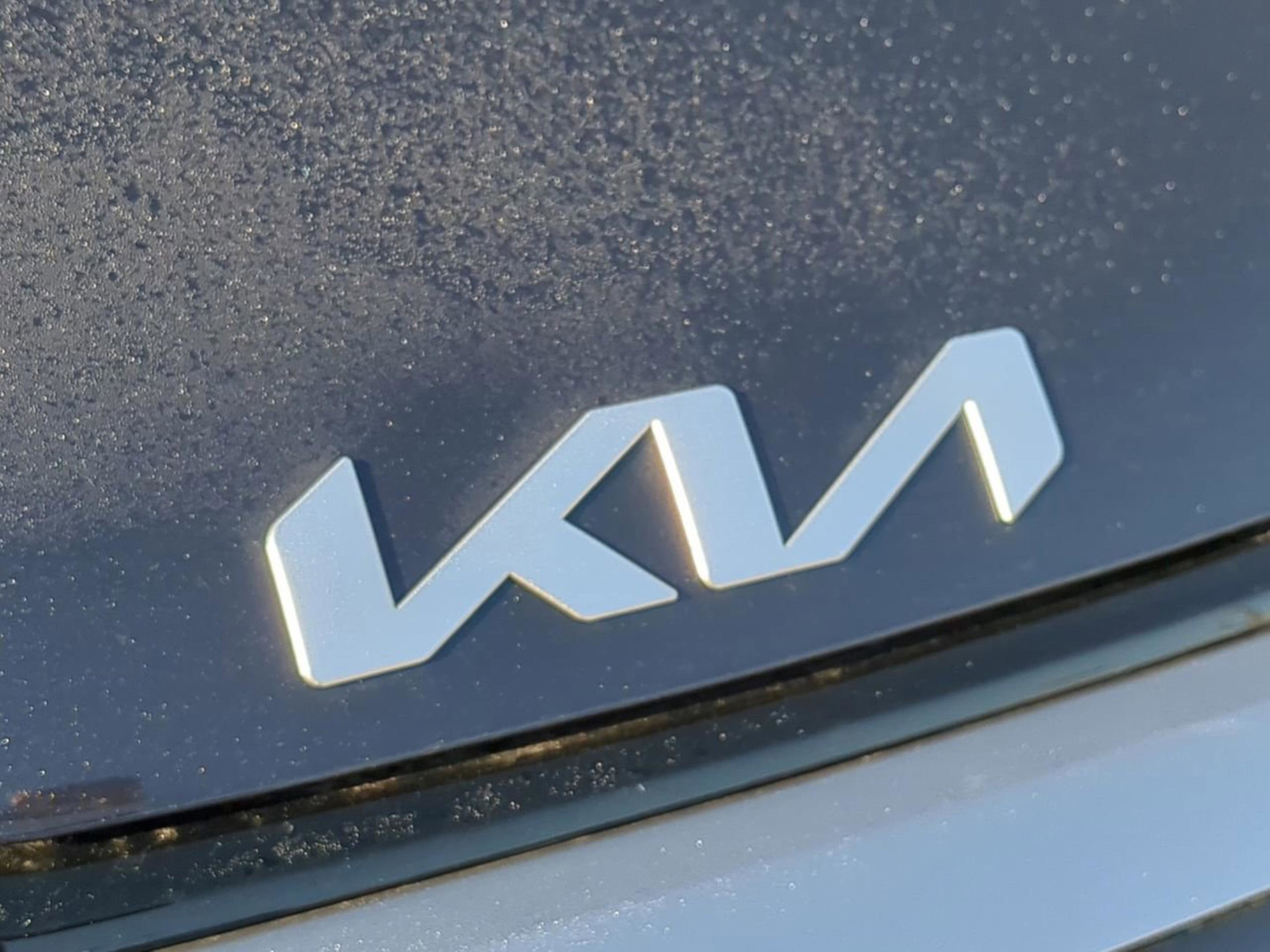 New 2026 Panthera Metal Gray Kia EX image 27