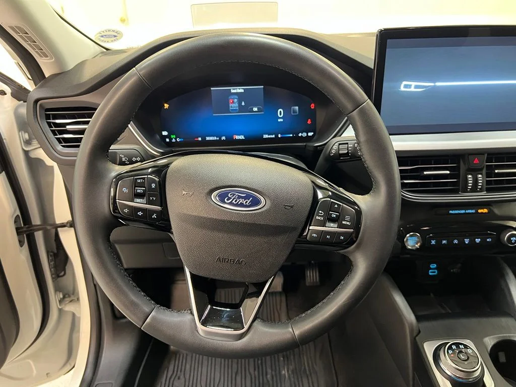 Used 2023 White Ford Platinum image 17