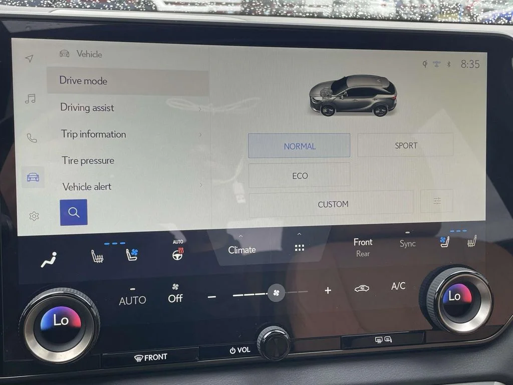 2025 Lexus RX 350 - Photo 18