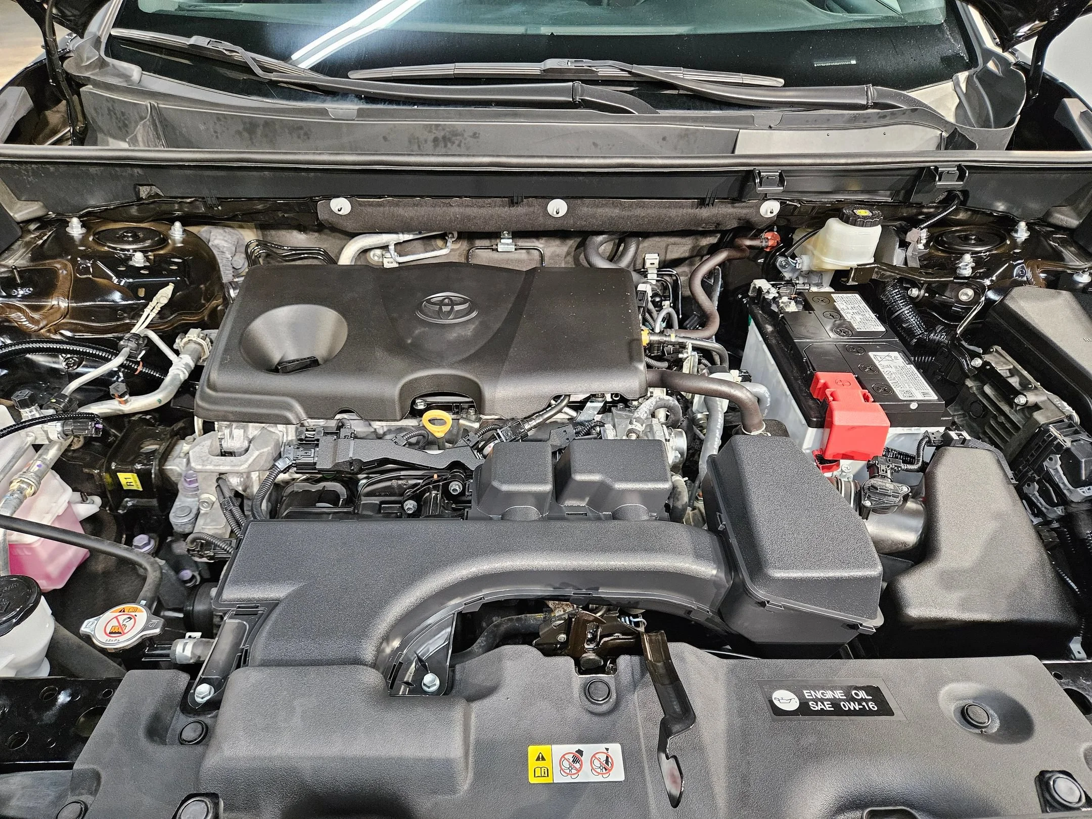 Photo 19