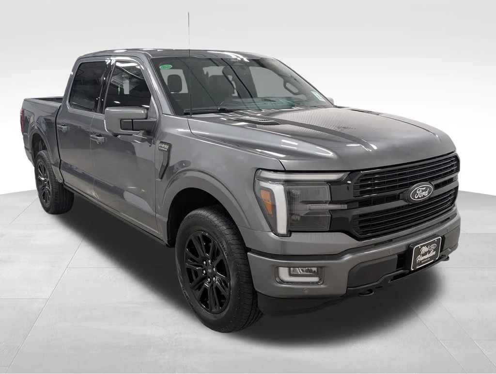 New 2026 Carbonized Gray Metallic Ford Platinum® image 23