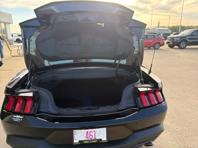 New 2026 Shadow Black Ford GT Premium Convertible image 25