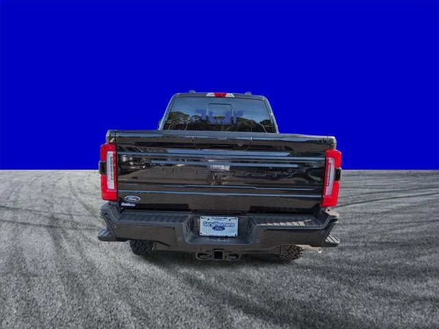 New 2026 Black Ford Platinum image 5