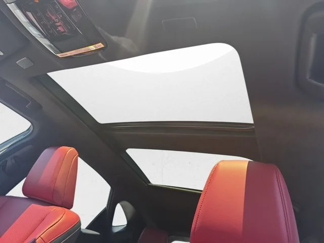 2026 Lexus NX 450h+ Luxury - Photo 29