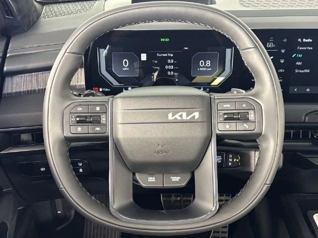 New 2027 Panthera Metal Matte Kia X-Line SX Prestige image 14