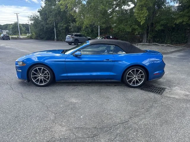 Used 2019 Blue Ford EcoBoost Premium image 8
