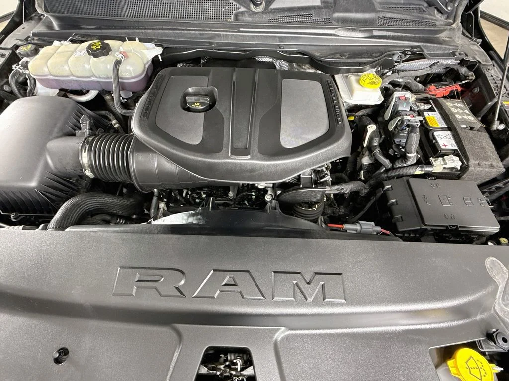 Used 2025 Black Ram Rebel image 30