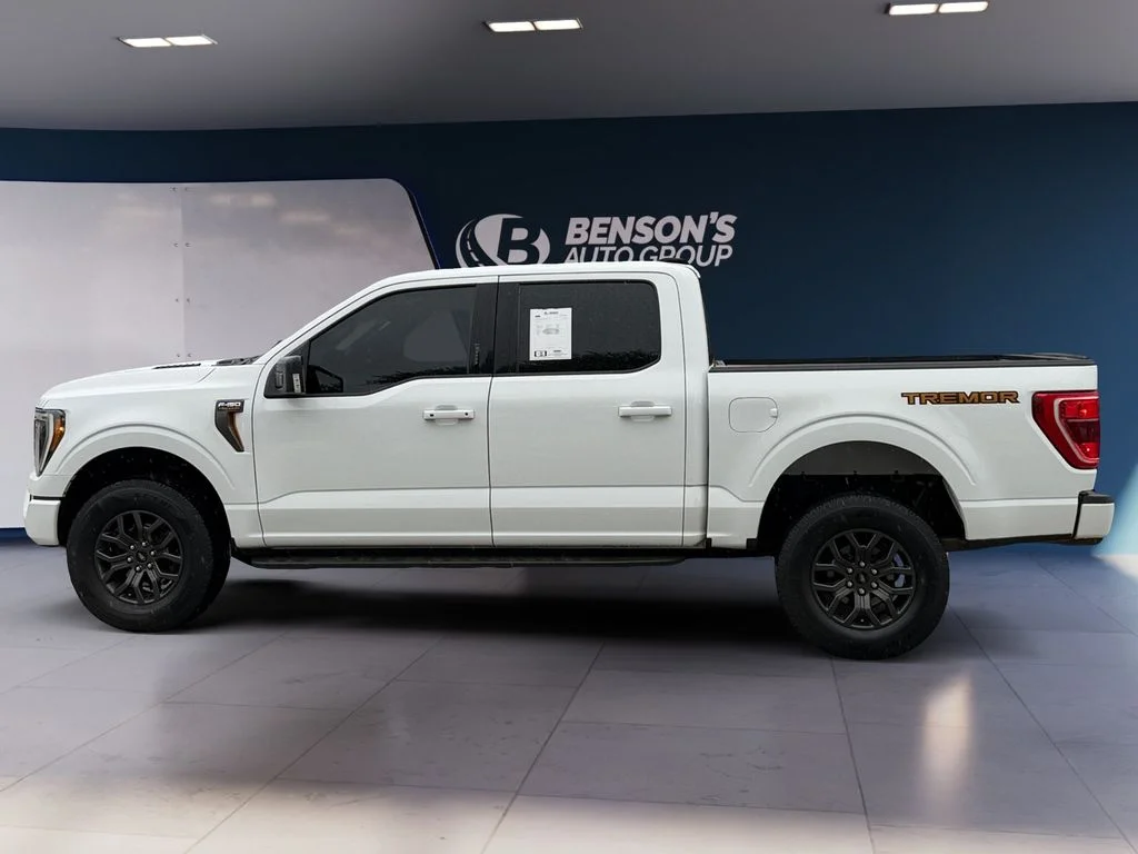 Used 2023 White Ford Tremor image 2