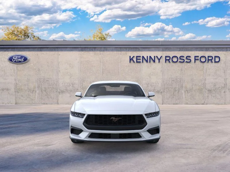 New 2025 White Ford EcoBoost Premium image 6