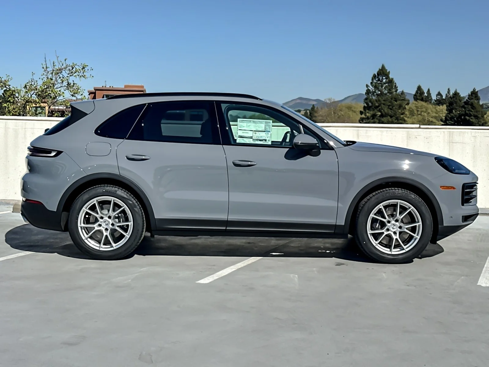 New 2026 Arctic Grey Porsche  image 9
