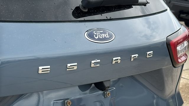 Used 2024 Blue Ford Platinum image 10