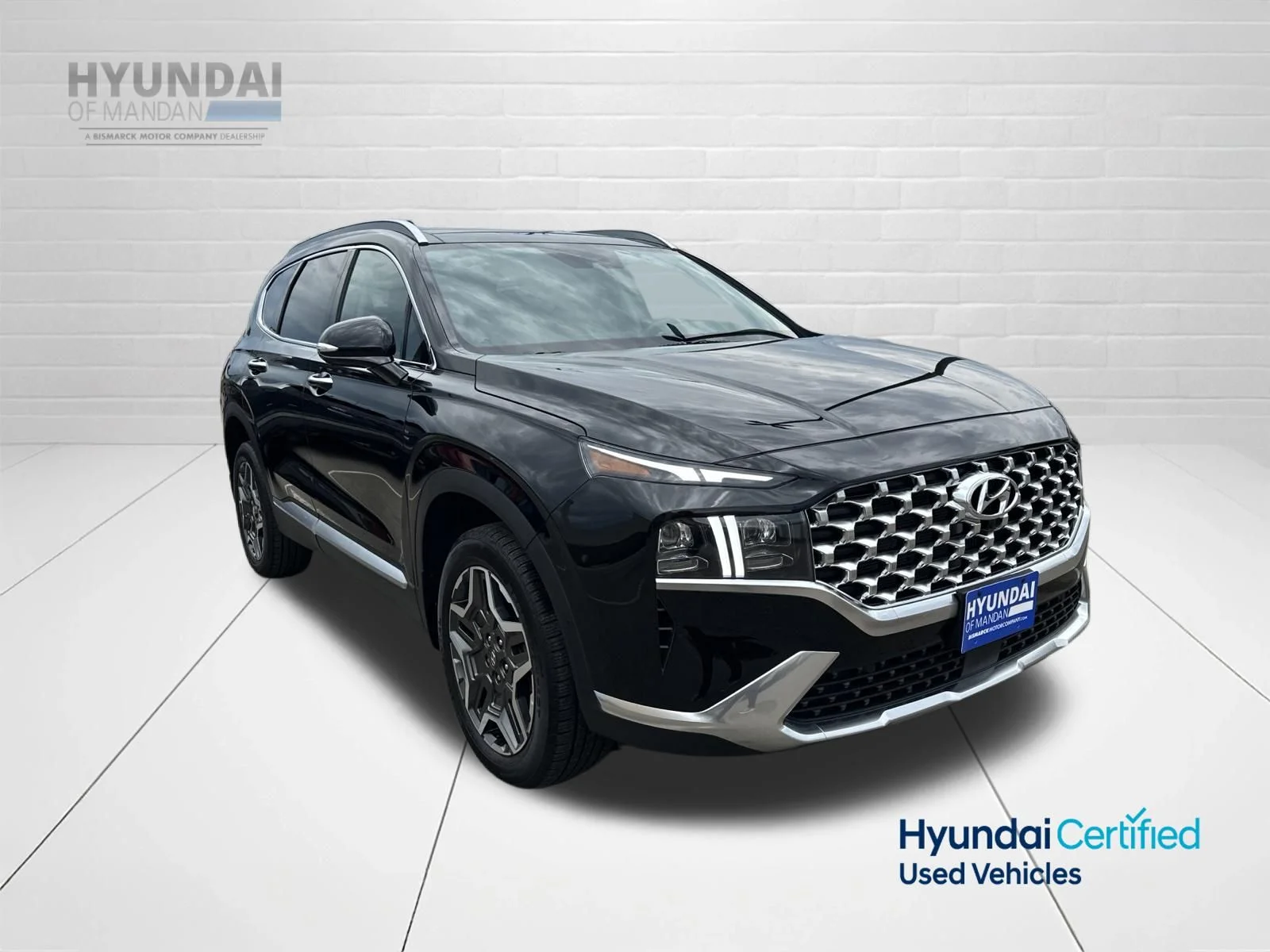 Used 2023 Black Hyundai Limited image 2