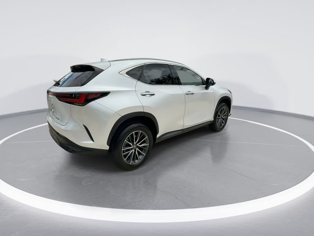 2024 Lexus NX 250 - Photo 8