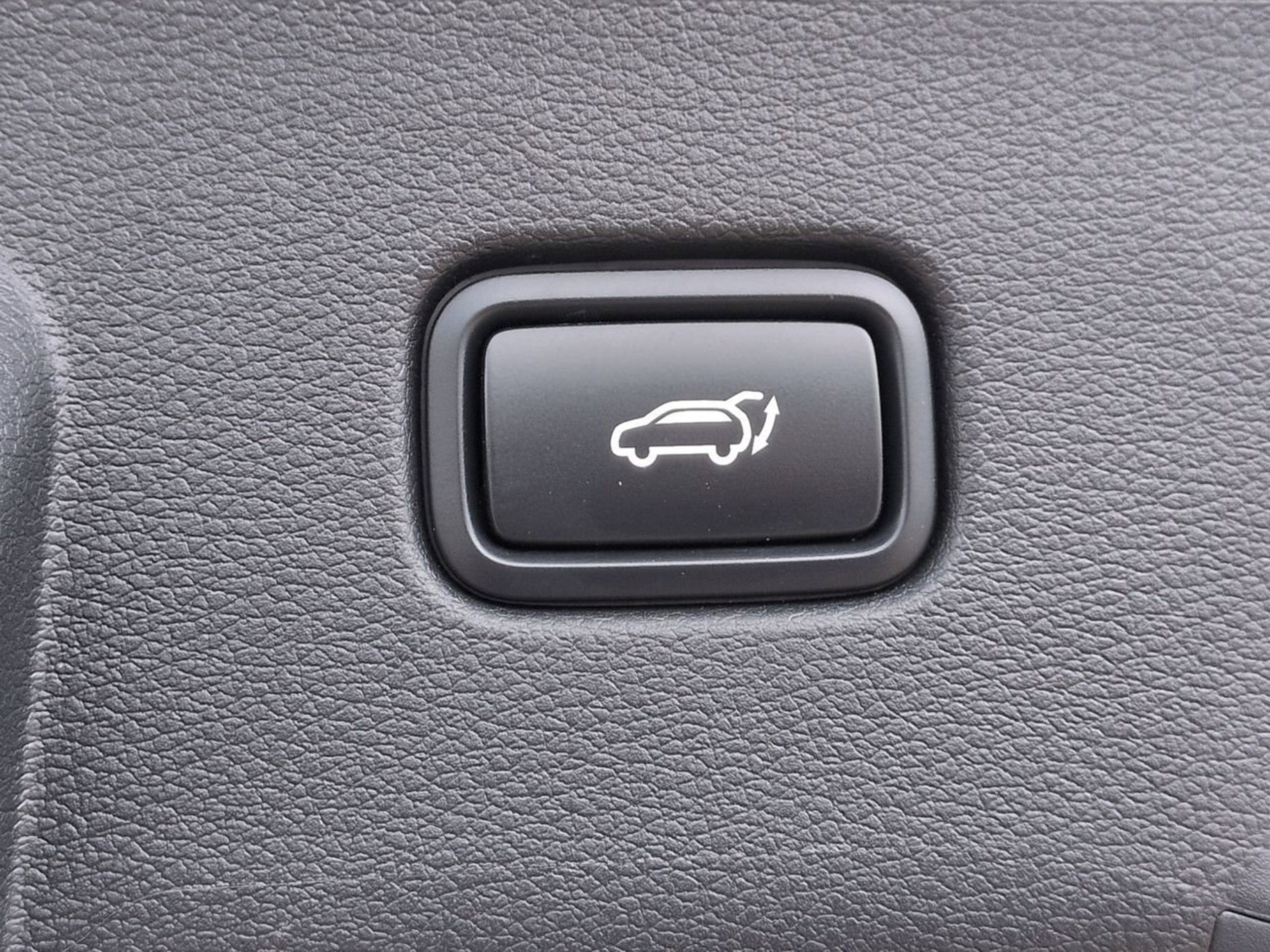 Certified Used 2024 Jungle Green Kia X-Line image 15