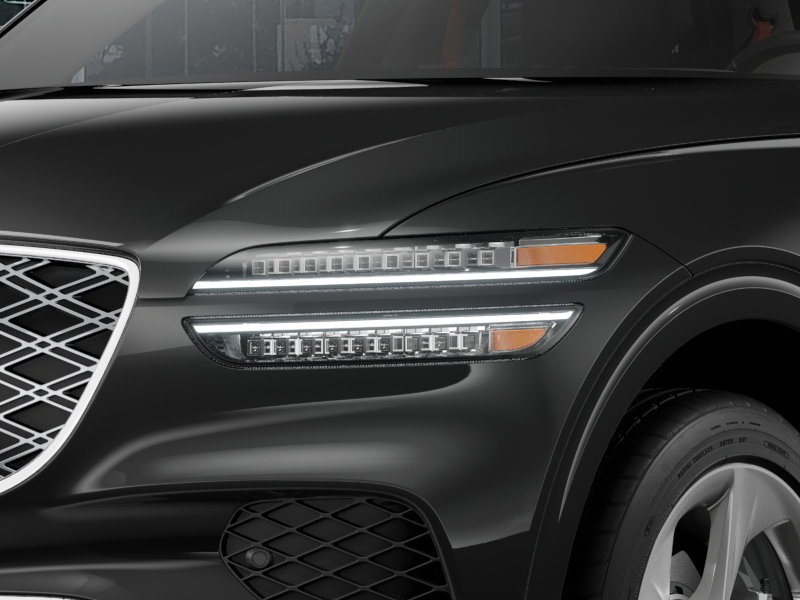 New 2026 Vik Black Genesis  image 11