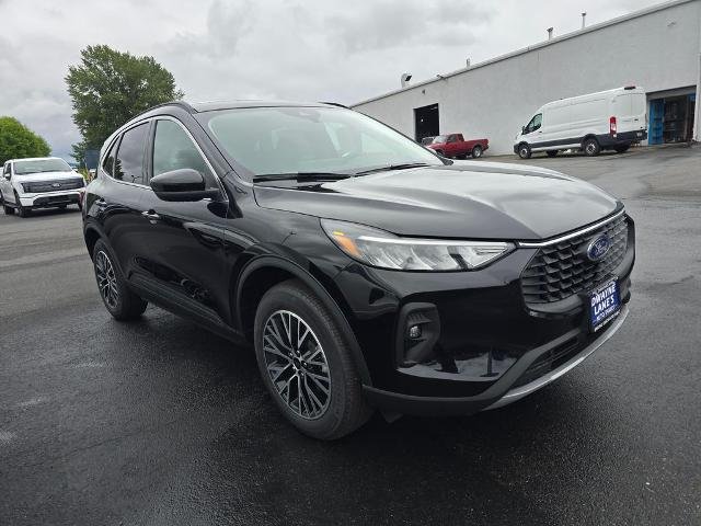 2025 Ford Escape Plug-in hybrid PHEV - Photo 34