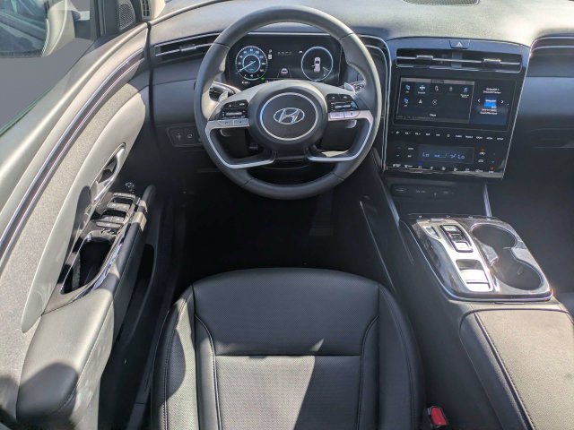 Used 2024 Blue Hyundai SEL Convenience image 17