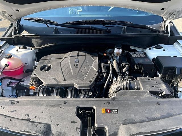 Used 2023 White Kia X-Line image 10