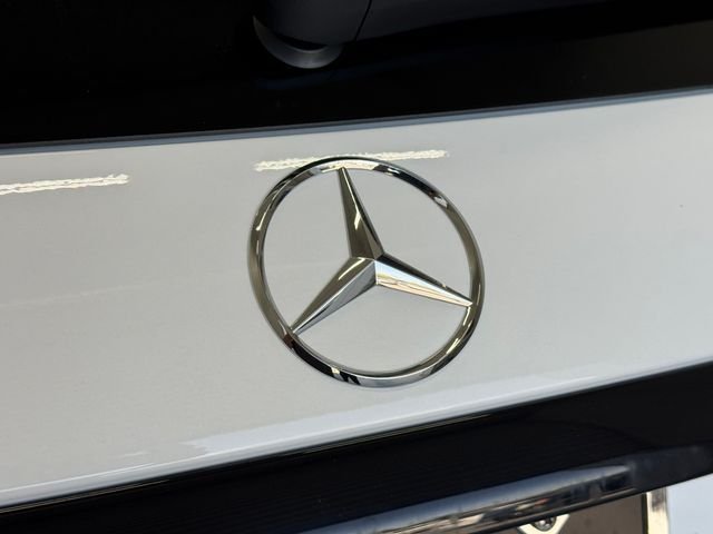 2025 Mercedes-Benz GLE GLE350 - Photo 50