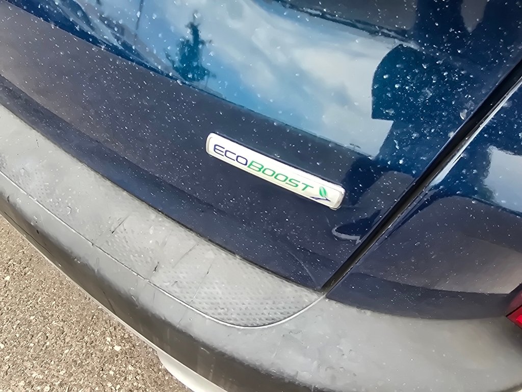 Used 2020 Dark Persian Green Metallic Ford SE image 9