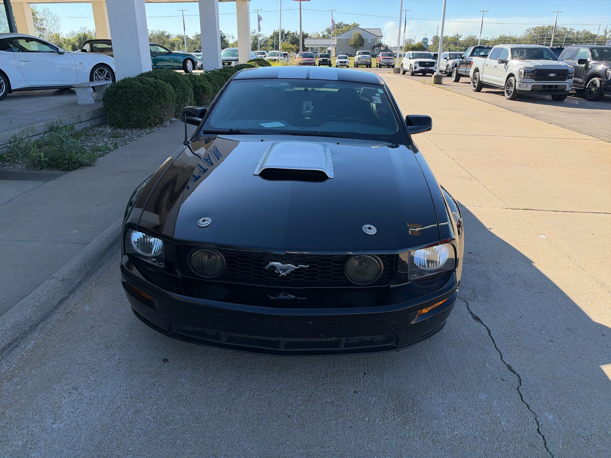 Used 2007 Black Clearcoat Ford GT Premium image 3