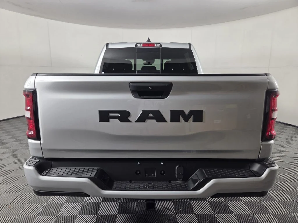 New 2026 Silver Zynith Exterior Paint RAM Express image 6