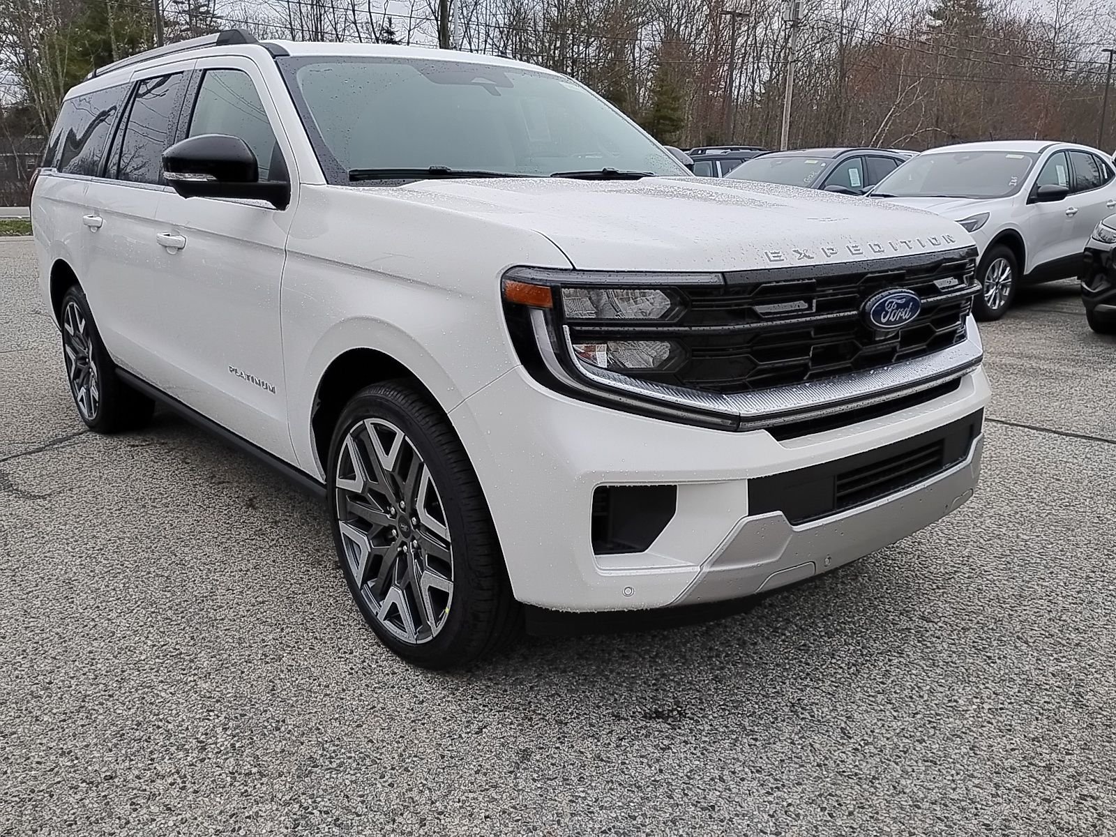 2026 Ford Expedition Platinum MAX 4x4's photo