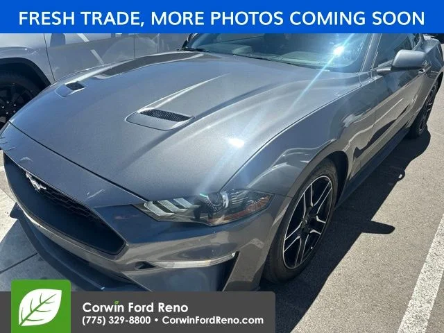 Used 2023 Gray Ford EcoBoost Premium image 3