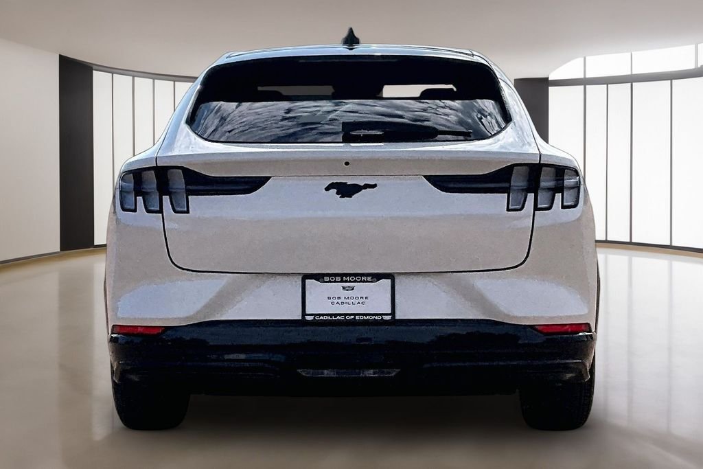 Used 2023 White Ford Premium image 4