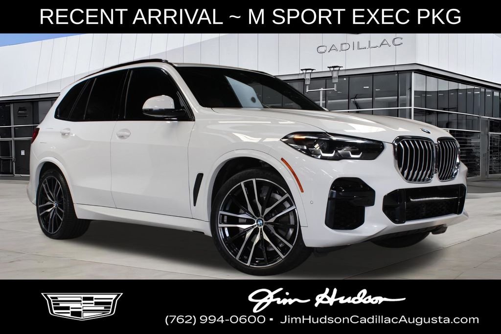 2023 BMW X5 sDrive40i's photo