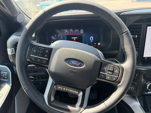 New 2026 Blue Ford Platinum image 14