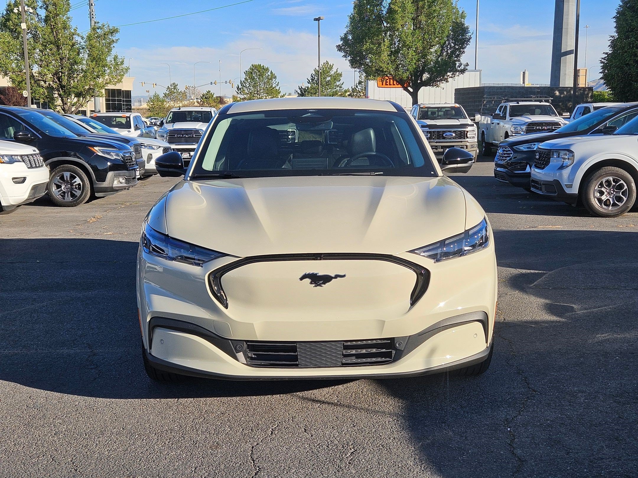 Certified Used 2025 Beige Ford Premium image 9