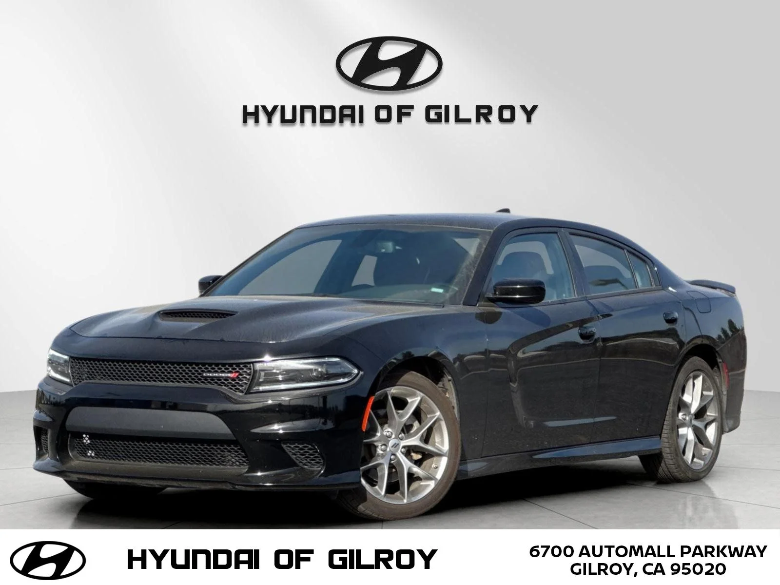 2023 Dodge Charger GT's photo