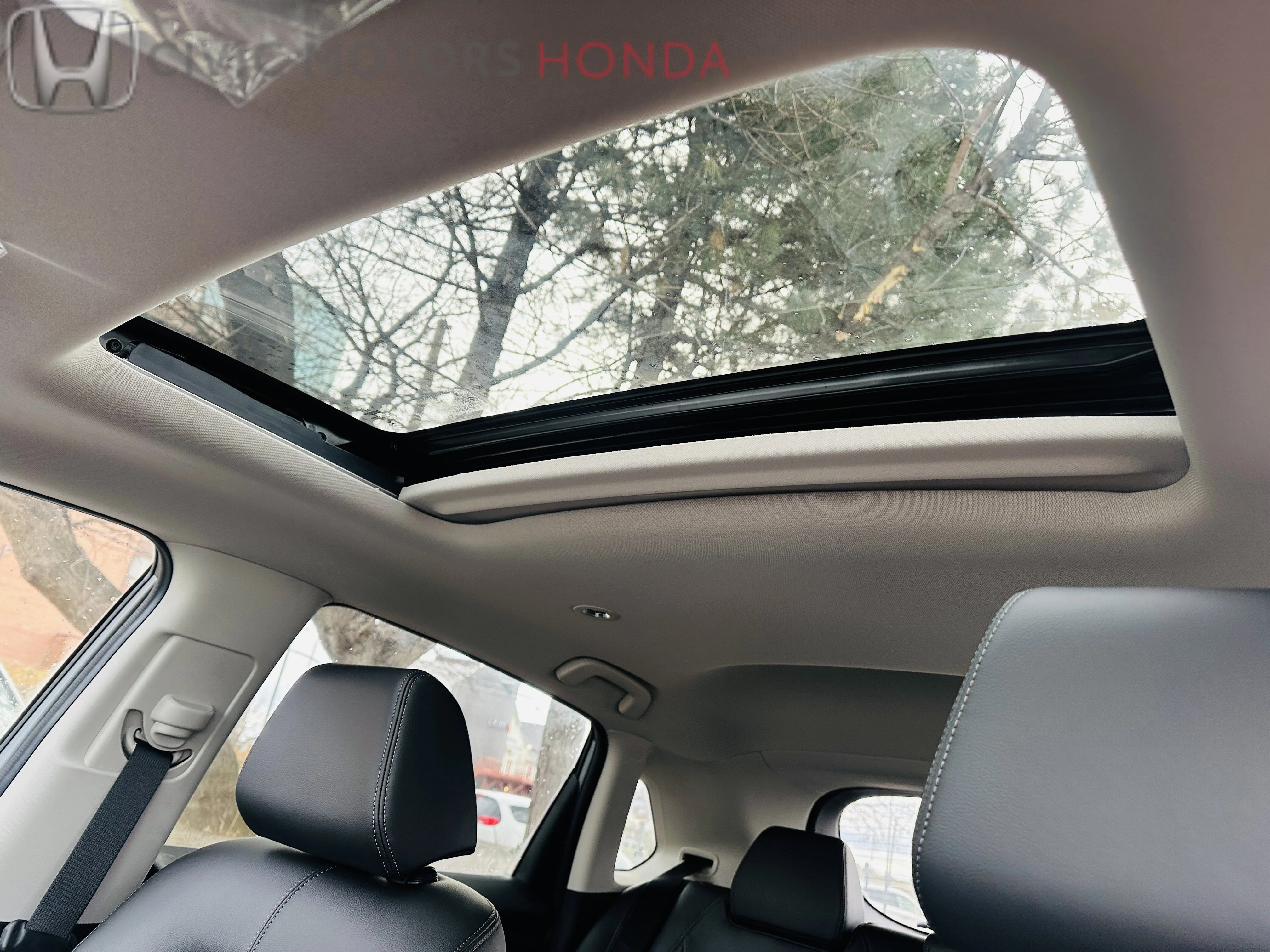 New 2027 URBAN GRAY PEARL Honda EX-L image 6