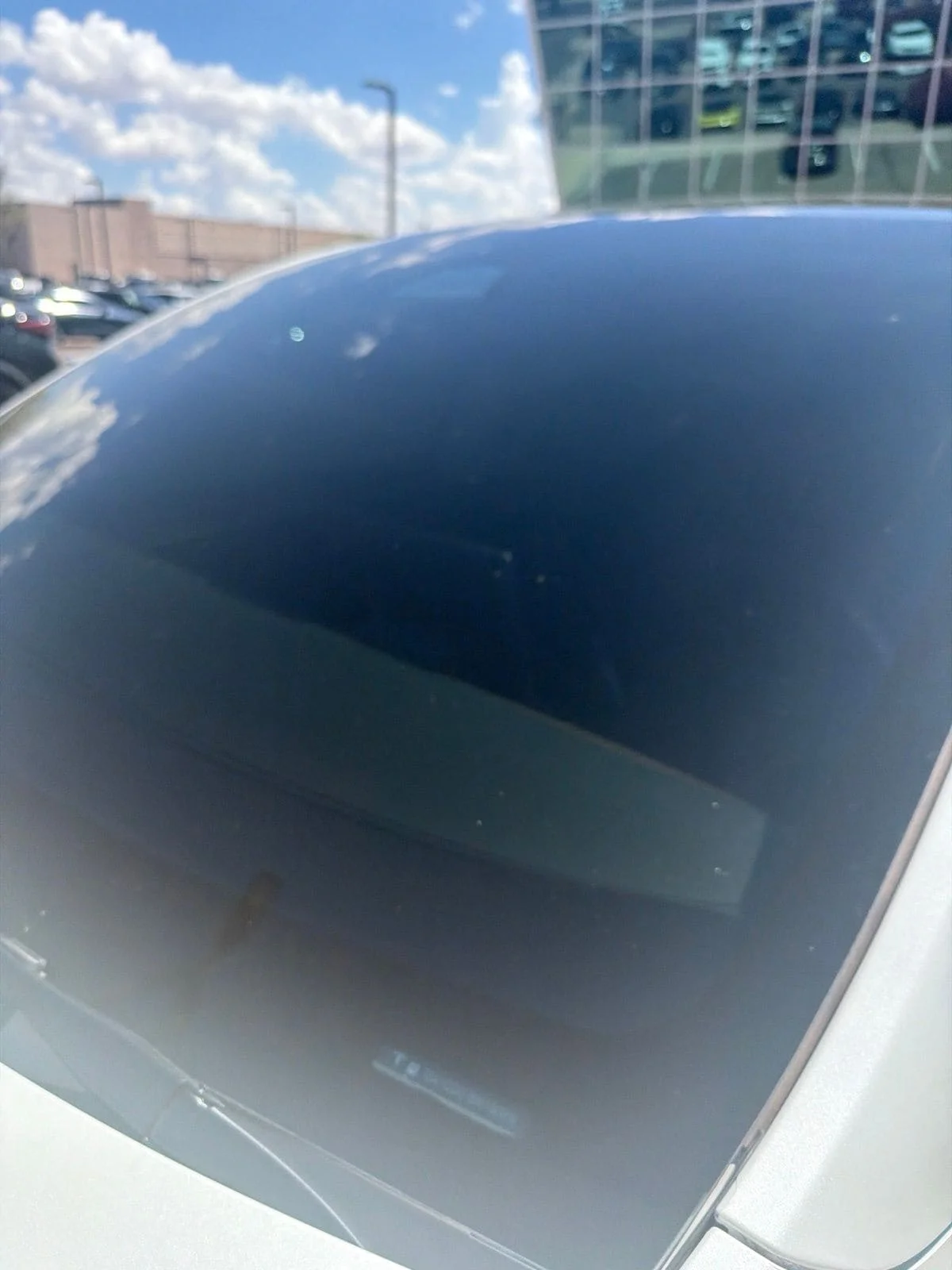 Used 2024 Pearl White Multi-Coat Tesla Performance image 7