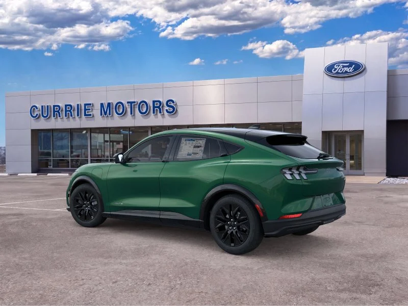New 2026 Eruption Green Metallic Ford Premium image 4