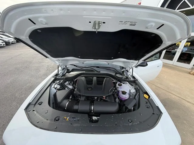 New 2026 White Knuckle Exterior Paint Dodge Scat Pack image 17