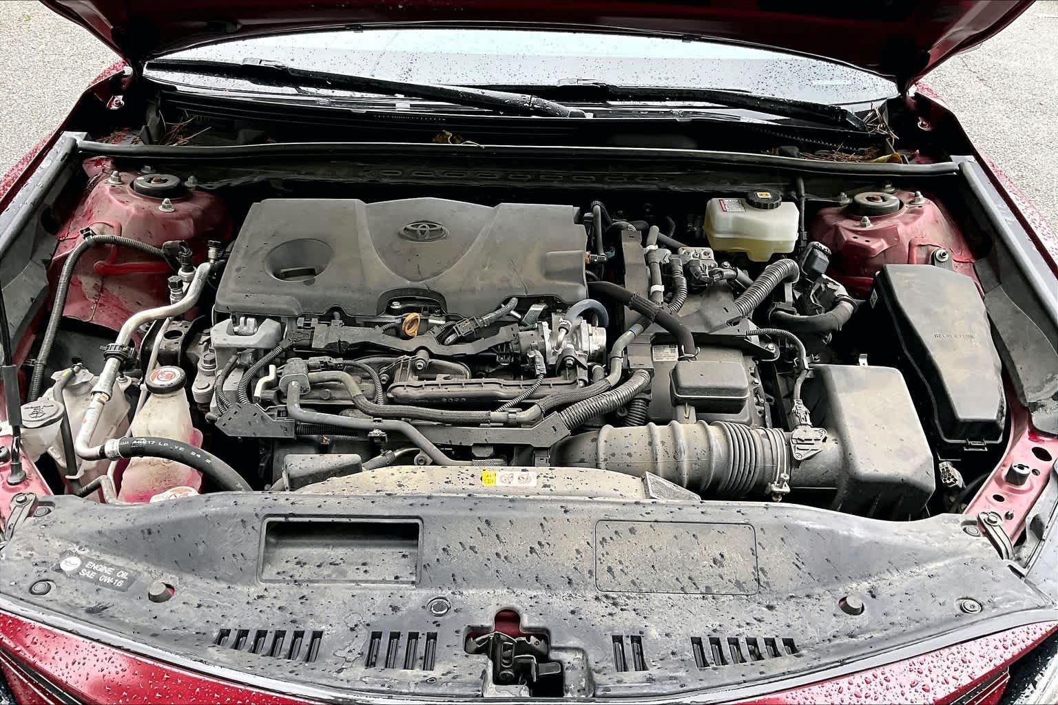 Used 2022 Ruby Flare Pearl Toyota Hybrid XLE image 29