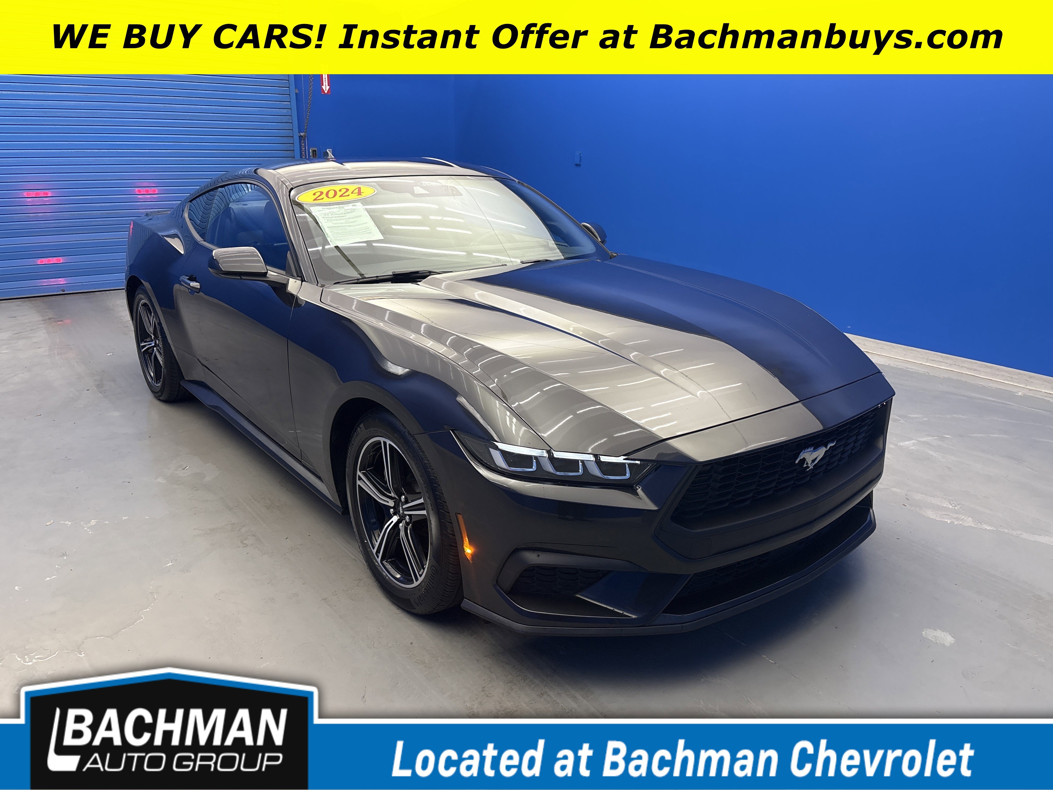 2024 Ford Mustang EcoBoost Premium Fastback's photo