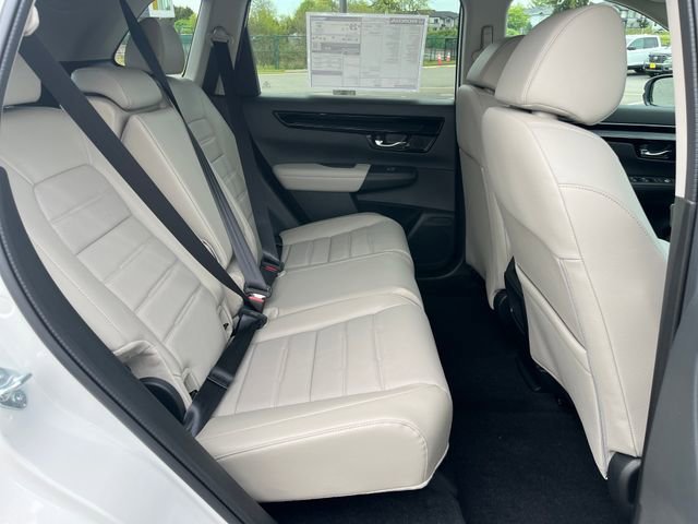 New 2026 Platinum White Pearl Honda EX-L image 12