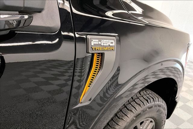 2023 Ford F-150 Tremor - Photo 11