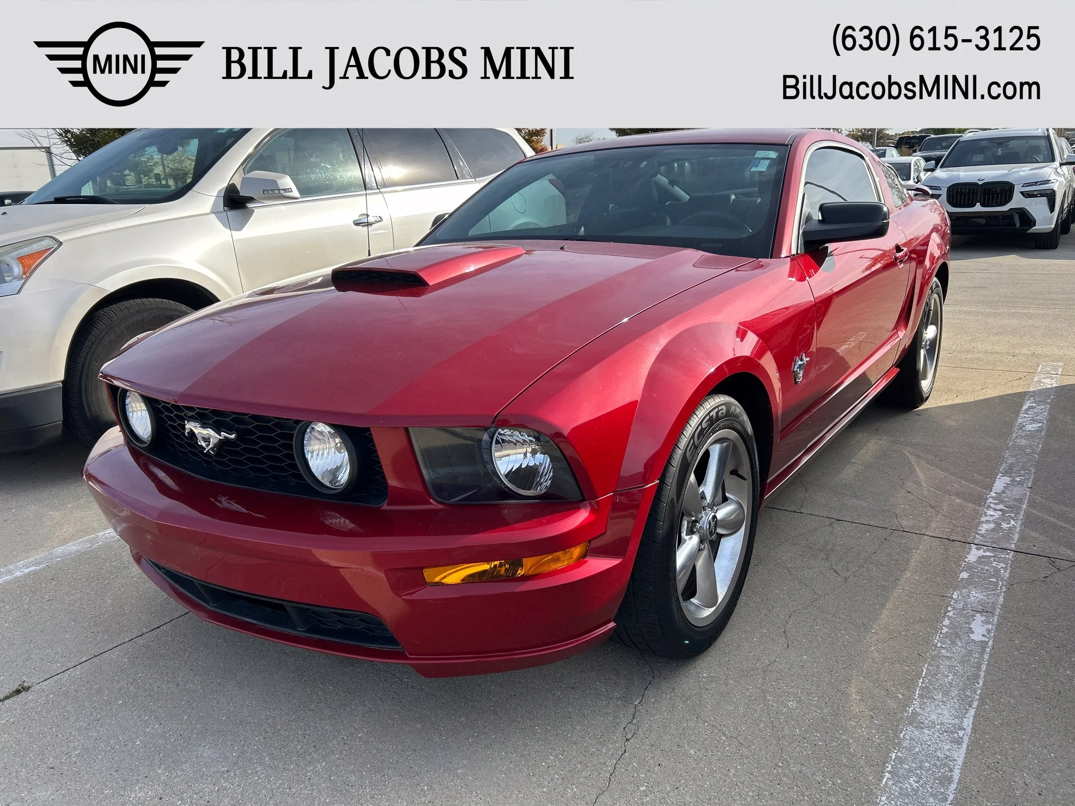 Used 2009 Dark Candy Apple Red Metallic Ford GT image 1