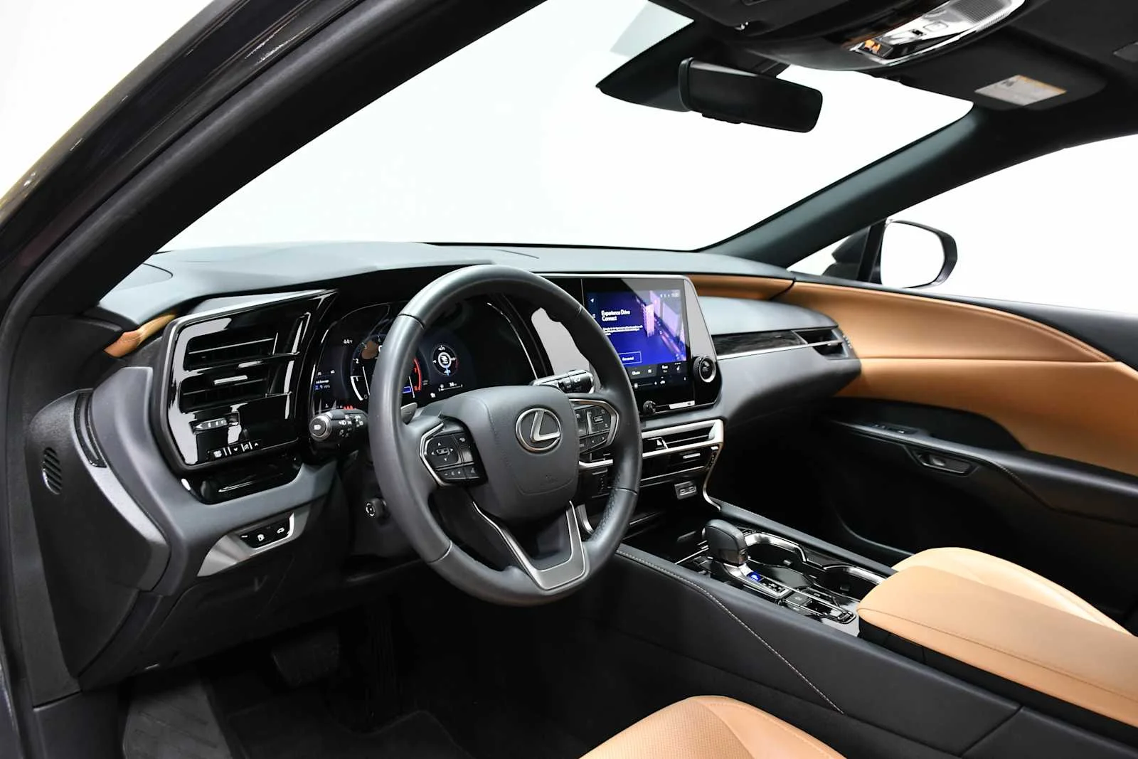 2025 Lexus RX 350 - Photo 16