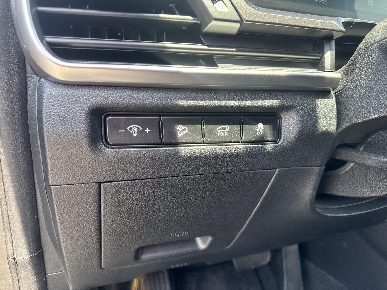Used 2025 Panthera Metal Kia S image 18