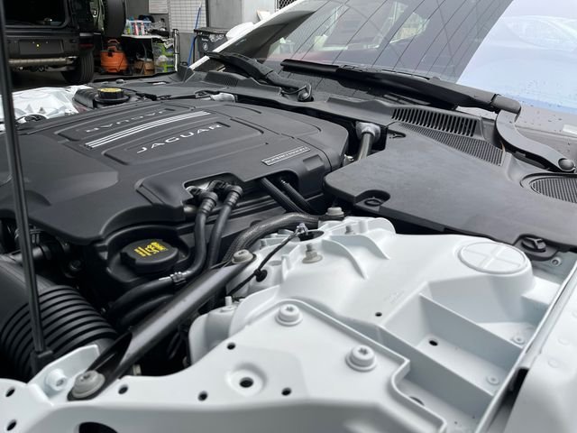 New 2024 Fuji White Jaguar P450 image 19