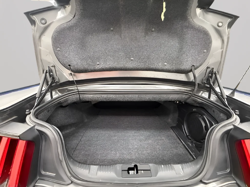 Used 2017 Gray Ford GT Premium image 28