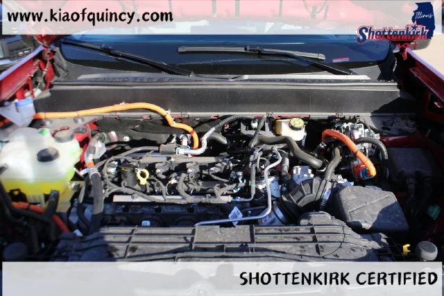 Used 2025  Ford XLT image 7