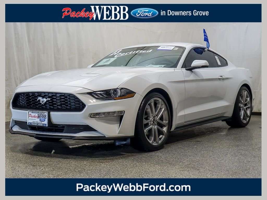 Certified Used 2023 Oxford White Ford EcoBoost Premium image 1